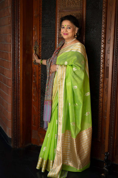 Banarasi Cotton Silk Saree - www.artisansaga.com